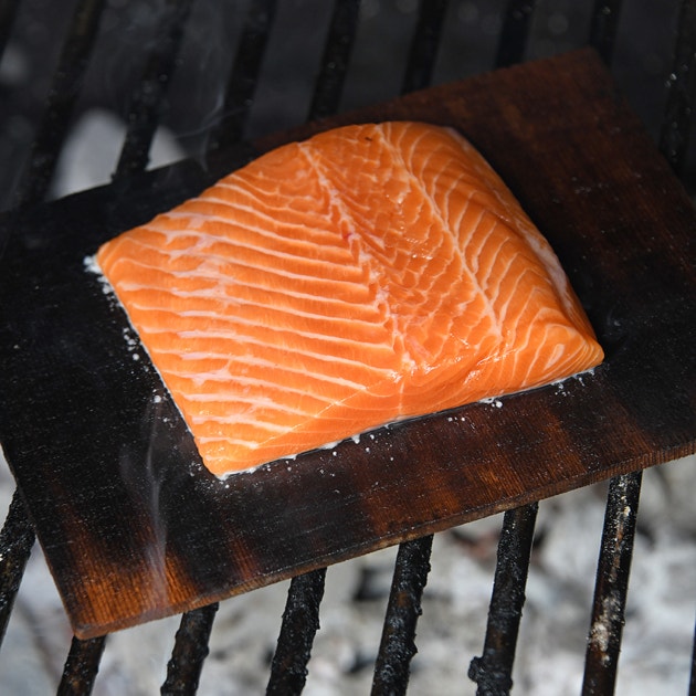 Bertha Commercial & Residential Charcoal Oven and Smoker Grill - Stainless steel