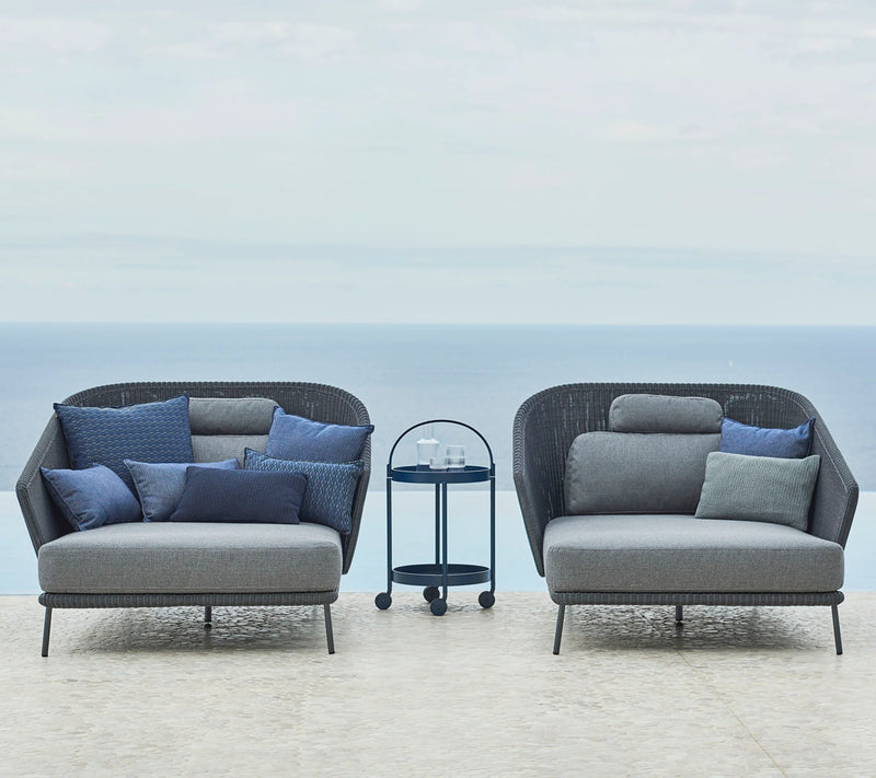 Outdoor & Indoor Roll trolley