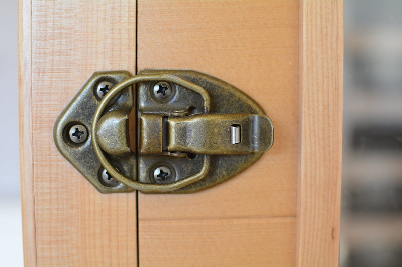 Chilliwack 2 Person Mica Infrared indoor Sauna