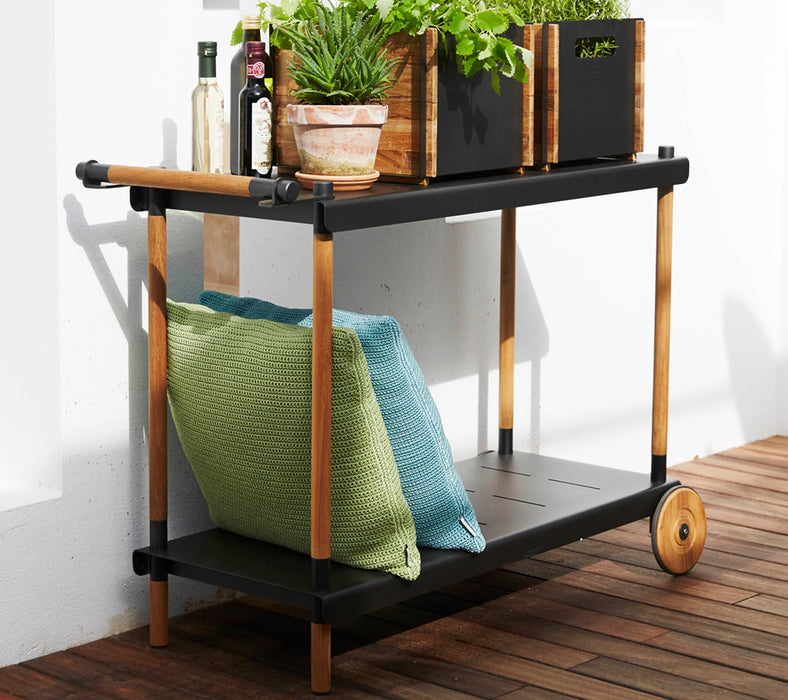 Outdoor & Indoor Frame trolley