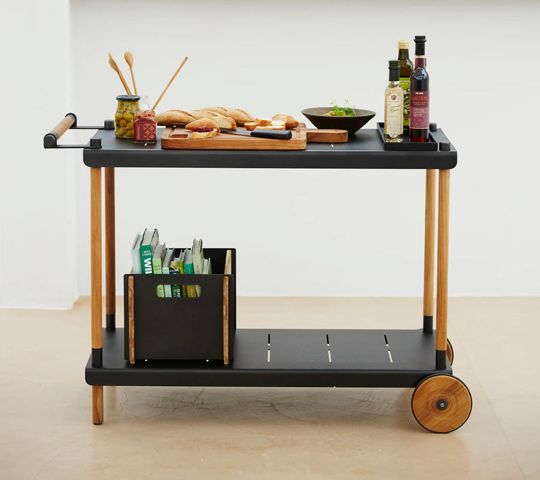 Outdoor & Indoor Frame trolley