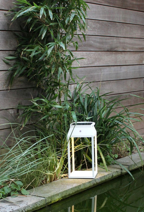 Illuminated Elegance Louis 36 Solar lantern White