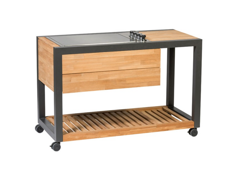 Indu+ Gazz Boy trolley