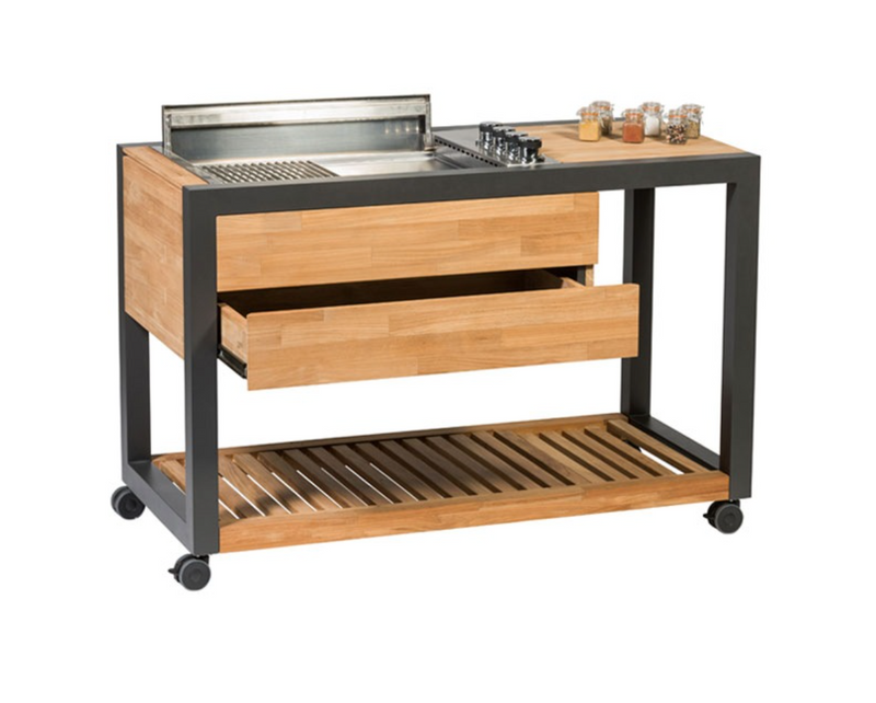 Indu+ Gazz Boy trolley