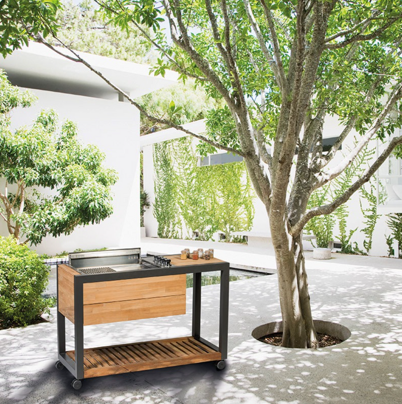 Indu+ Gazz Boy trolley