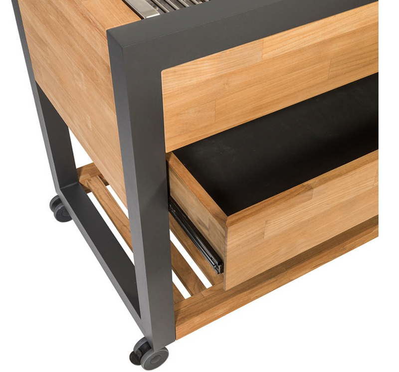 Indu+ Gazz Boy trolley