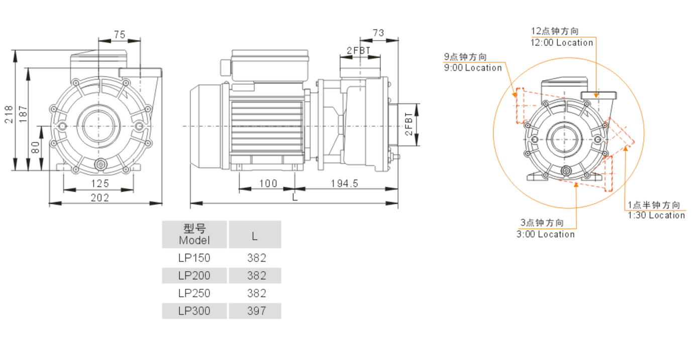 LP300-I 1-Speed Pump 3HP 2 x 2