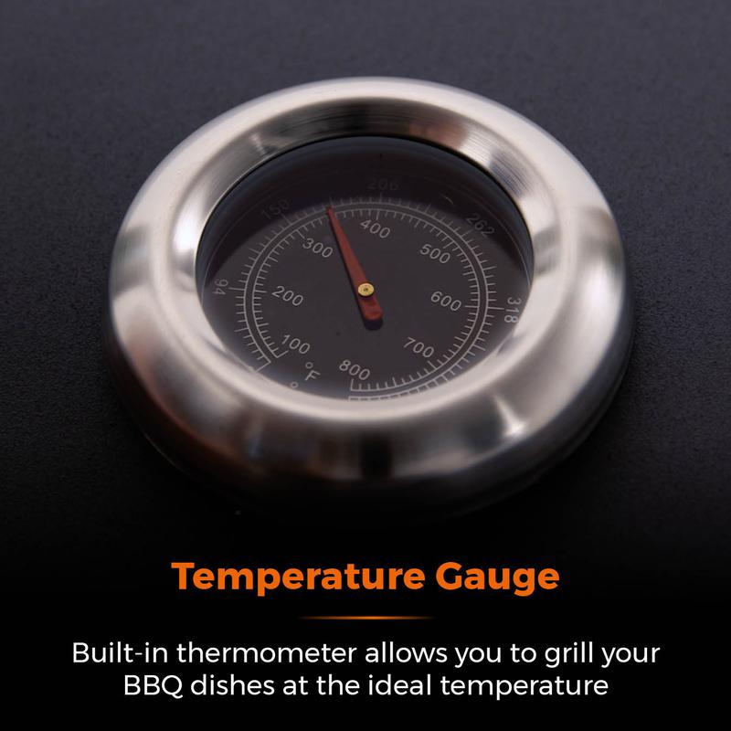 Goucho BBQ and Plancha