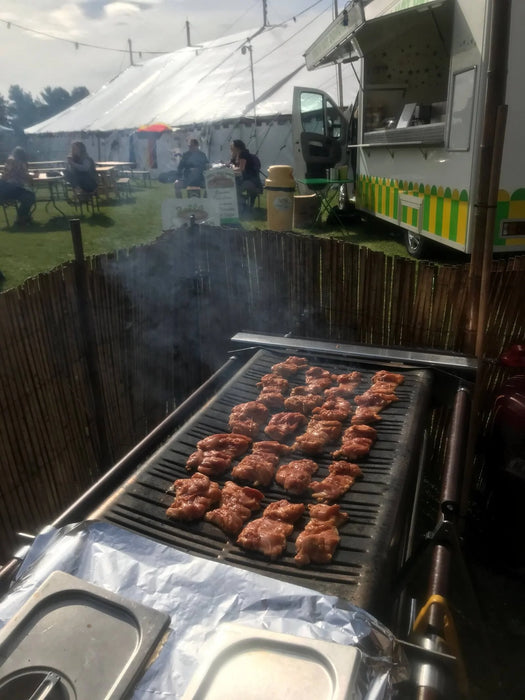 Cinders FESTIVAL SG80F Propane Gas BBQ Fitted With Flame Failure Technology