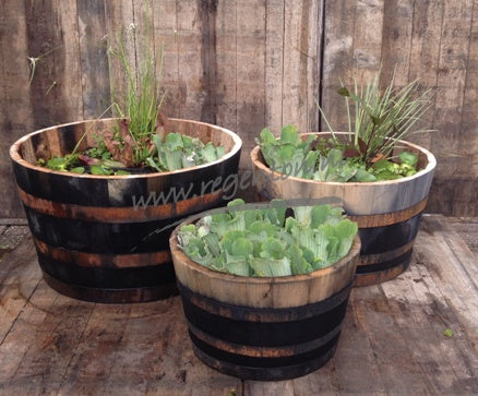 Plant Container Wooden Chestnut Set of 3 with Old Look