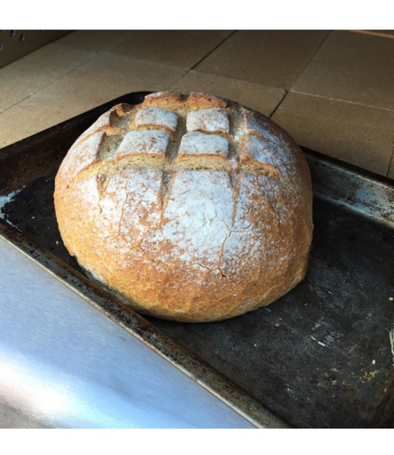 Alpha Pro Grande Wood-Fired Pizza Oven Bundle + Cover | Stainless Steel