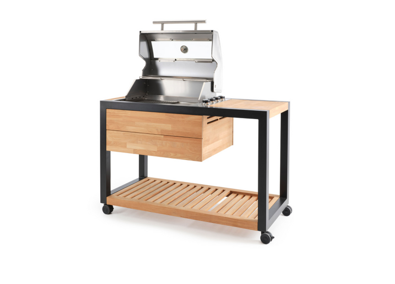 Indu+ Gazz Boy trolley