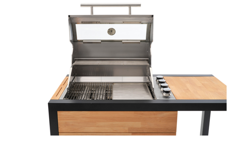 Indu+ Gazz Boy trolley