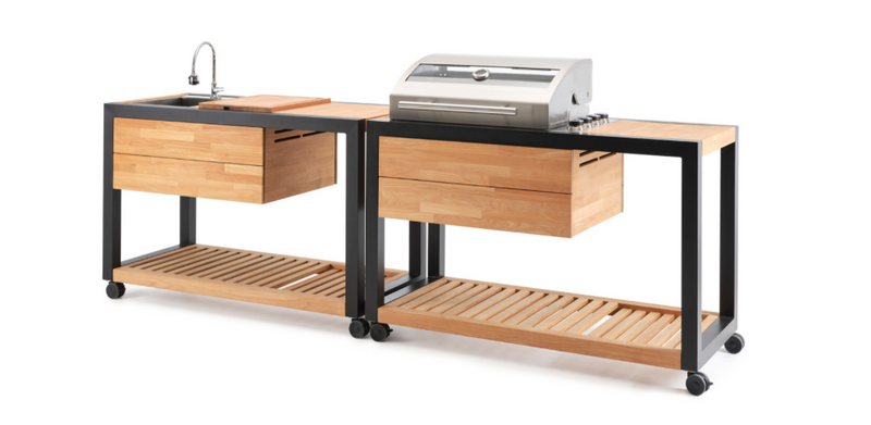 Indu+ Gazz Boy trolley