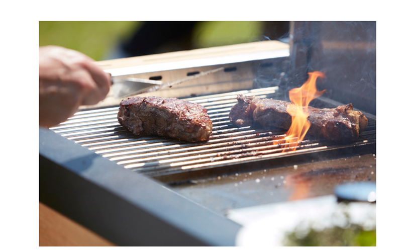 Indu+ Gazz Boy trolley