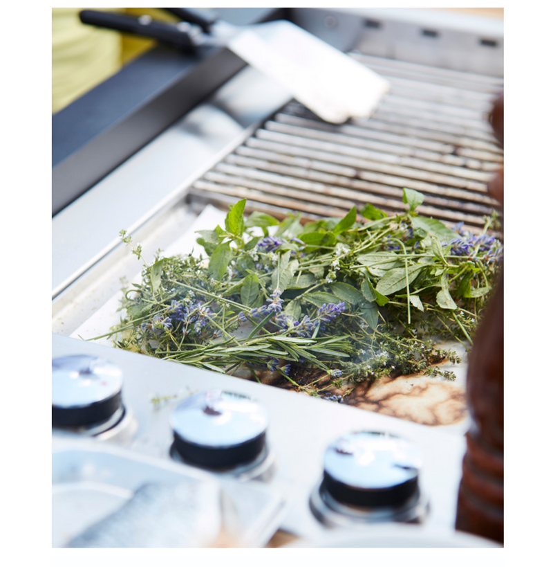 Indu+ Gazz Boy trolley