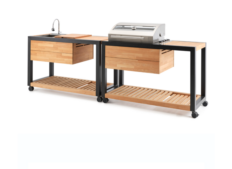 Indu+ Gazz Boy trolley