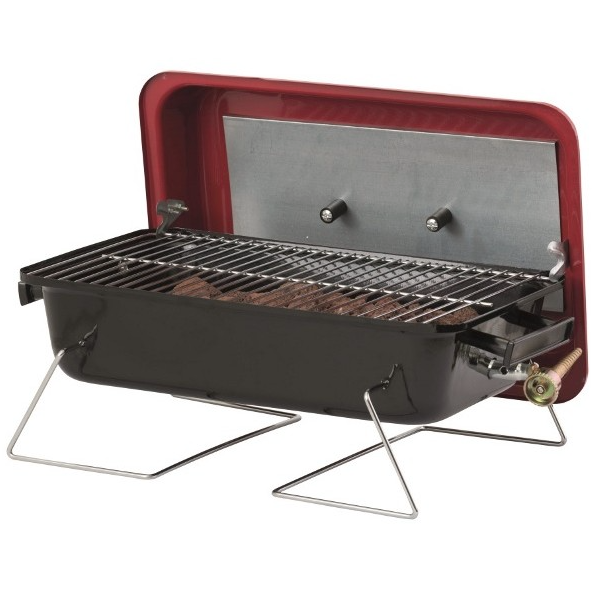 Portable Lava Rock Gas Barbecue