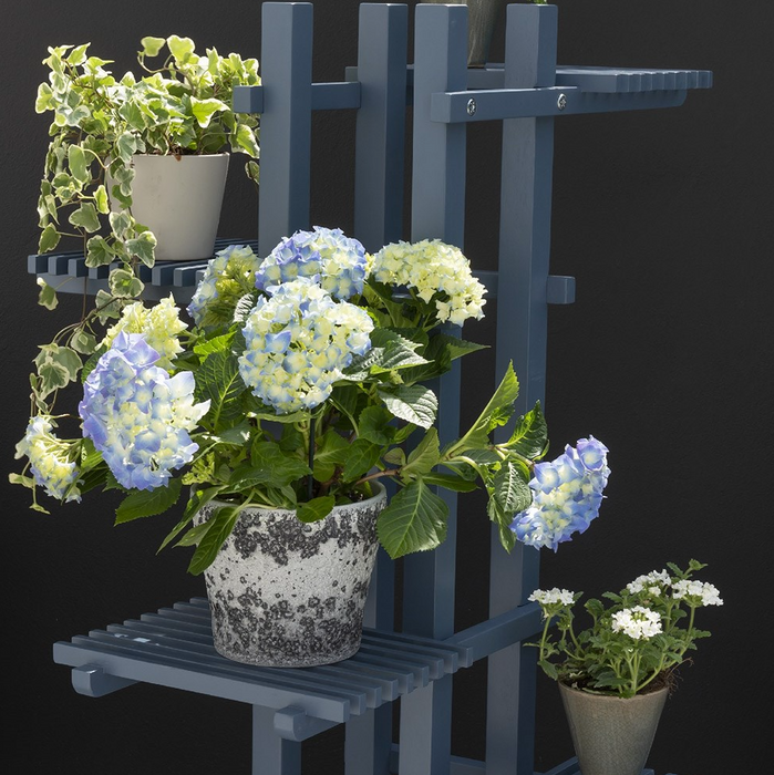 Galaxy Plant Stand with 4 Shelves