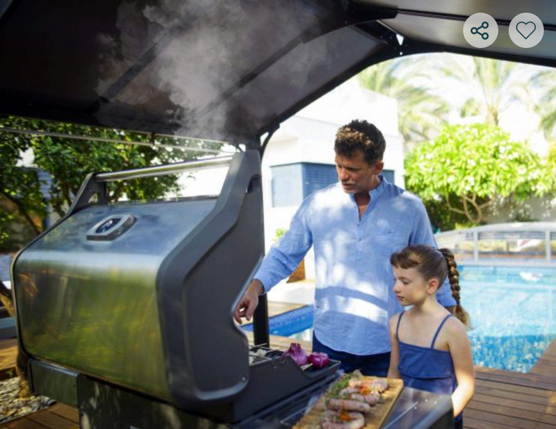 The Barbecue Austin 6 ft. x 8 ft. Gazebo Kit - Grey Structure