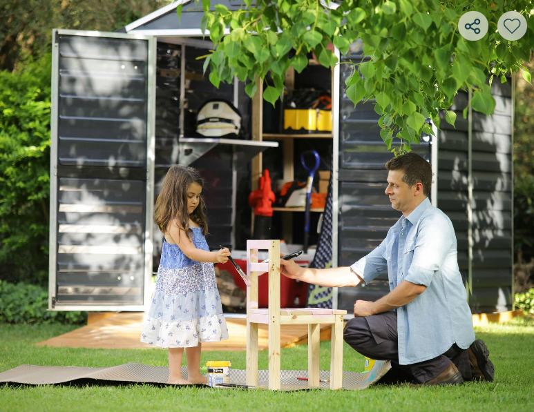 Skylight 6 ft. x 8 ft. Shed Kit