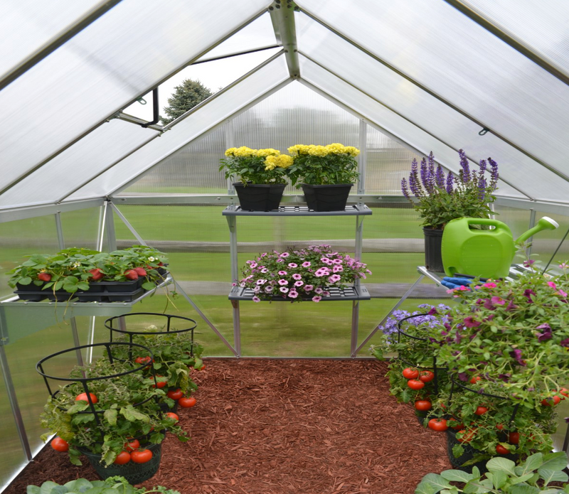 Mythos 6 ft. x 14 ft. Greenhouse Kit - Twinwall Panels