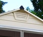 Skylight 4 ft. x 6 ft. Shed Kit